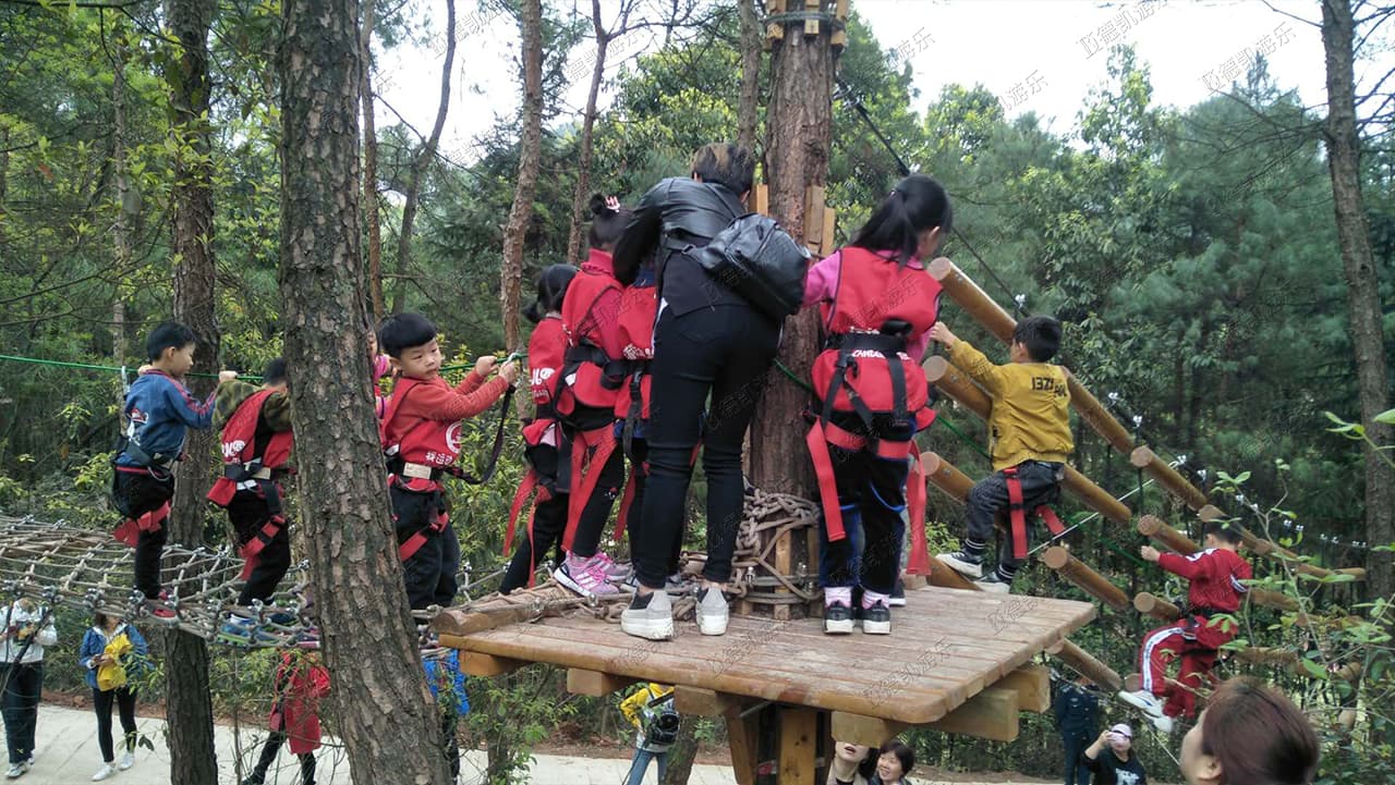丛林穿梭