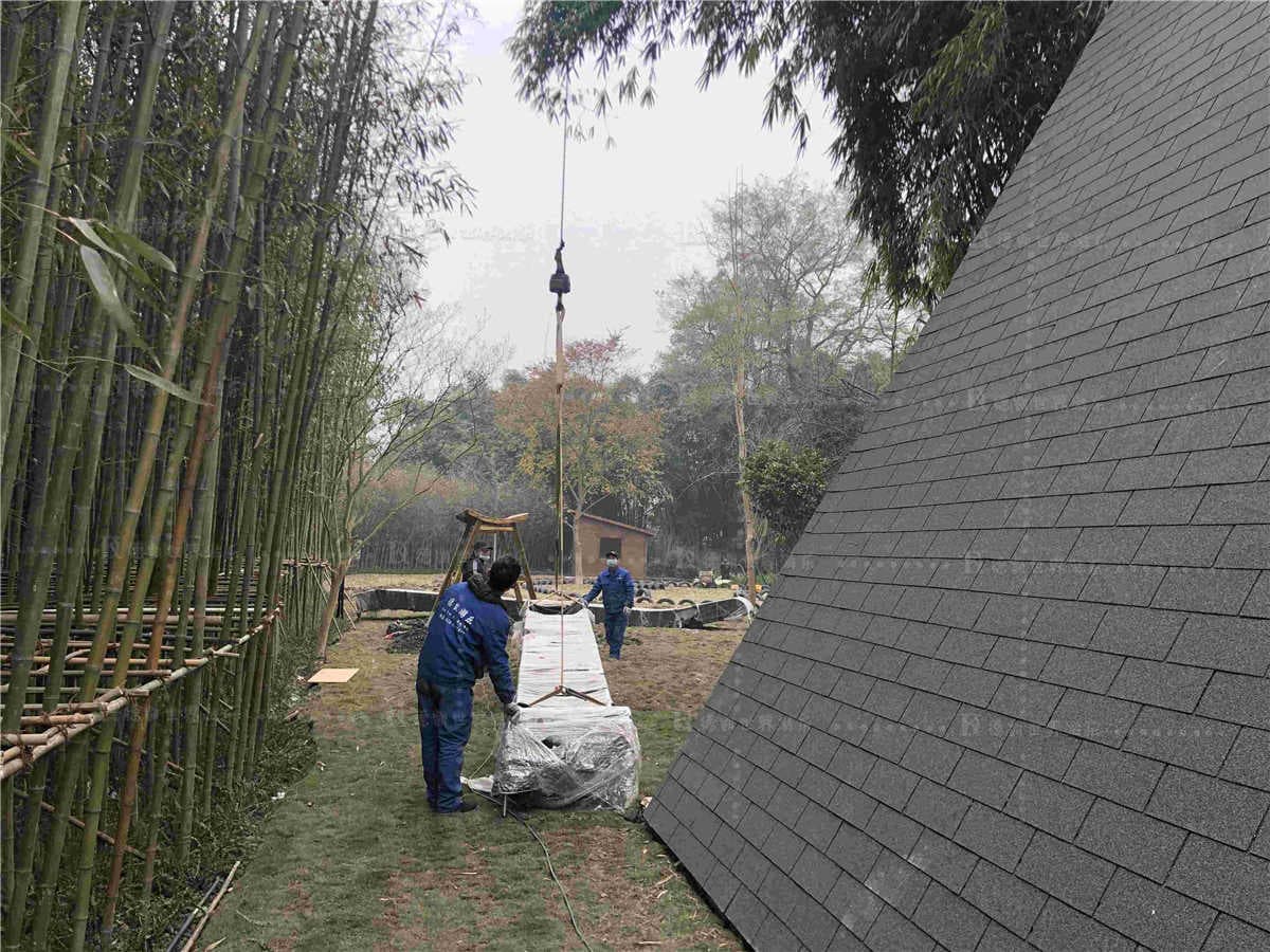 尊龙凯时游乐